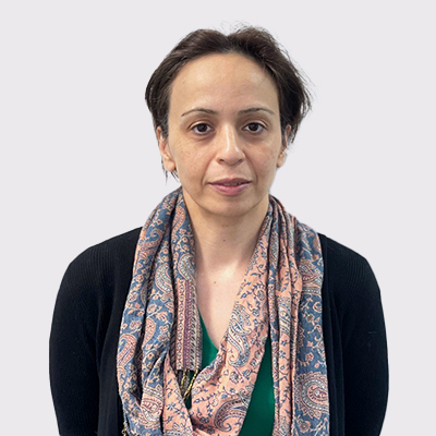 Dr Sara Sabery Raieni